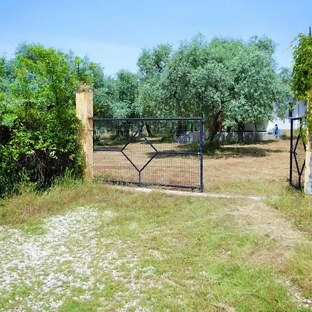 펜션 Ktima Elia 스칼라소티로스