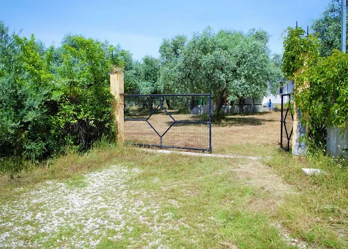 펜션 Ktima Elia 스칼라소티로스